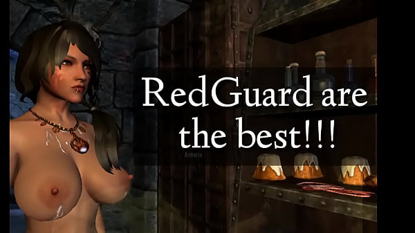 Skyrim |Las guardias rojas son lo Maximo!!